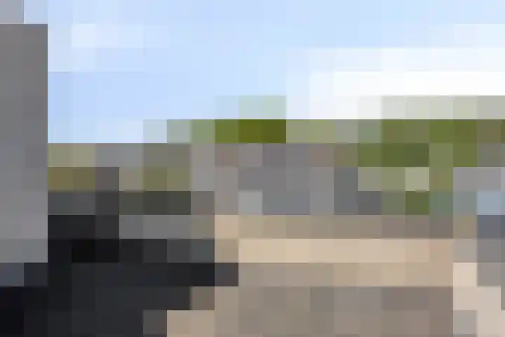 IJsvogel 130 Maarssen thumbnail 30