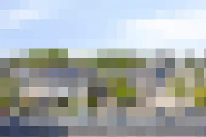 IJsvogel 130 Maarssen thumbnail 31