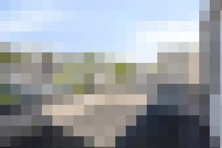 IJsvogel 130 Maarssen thumbnail 32