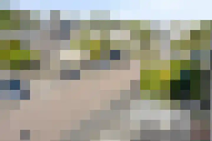 IJsvogel 130 Maarssen thumbnail 33