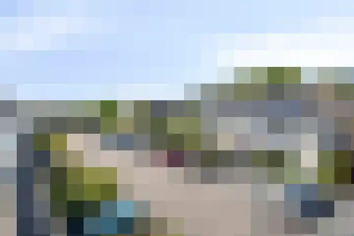 IJsvogel 130 Maarssen thumbnail 34