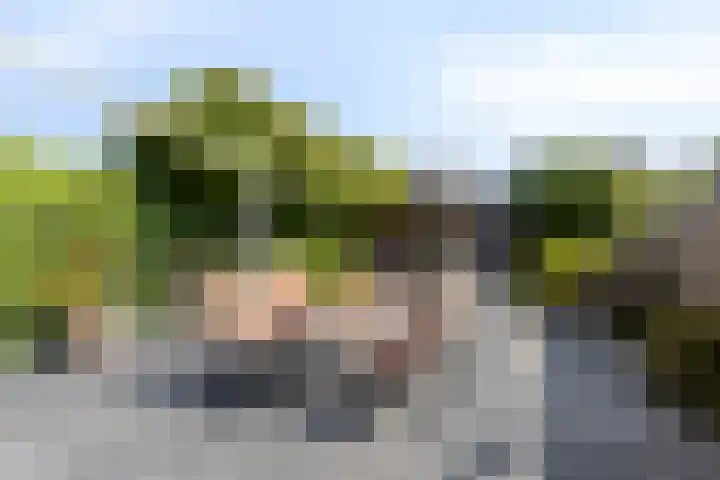 IJsvogel 130 Maarssen thumbnail 35