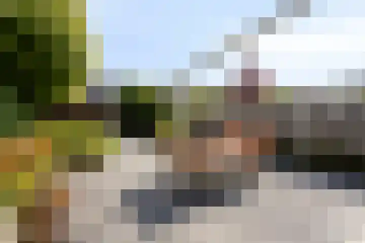 IJsvogel 130 Maarssen thumbnail 36