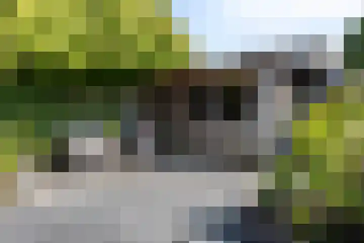 IJsvogel 130 Maarssen thumbnail 37