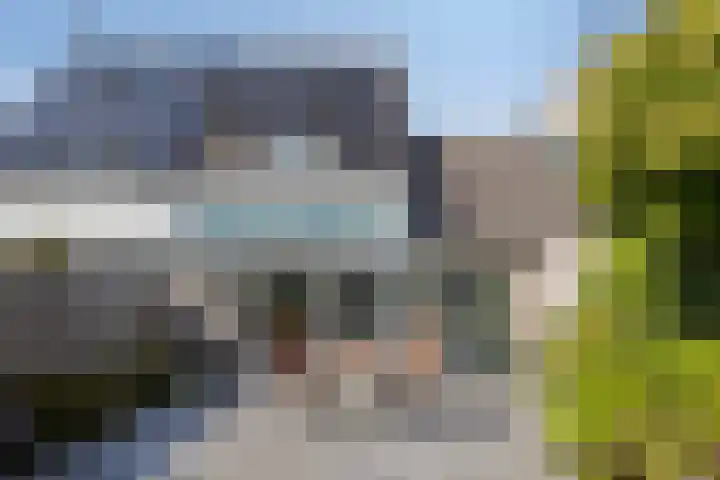 IJsvogel 130 Maarssen thumbnail 38