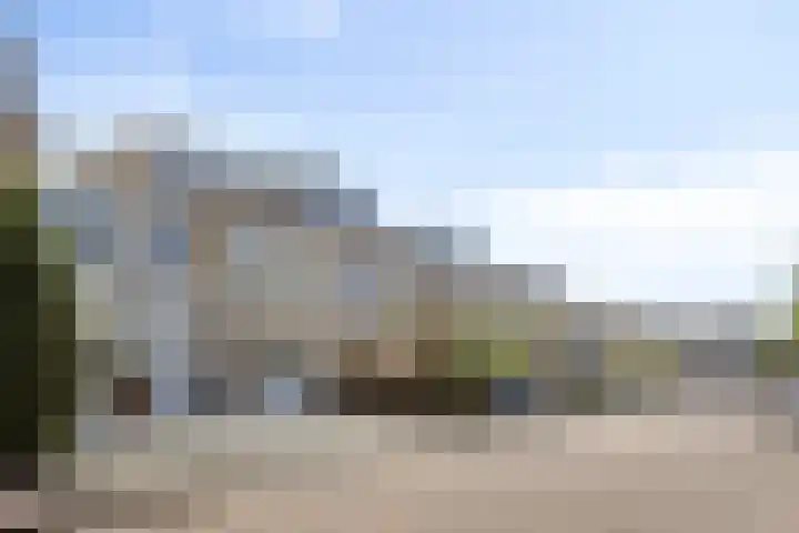 IJsvogel 130 Maarssen thumbnail 39