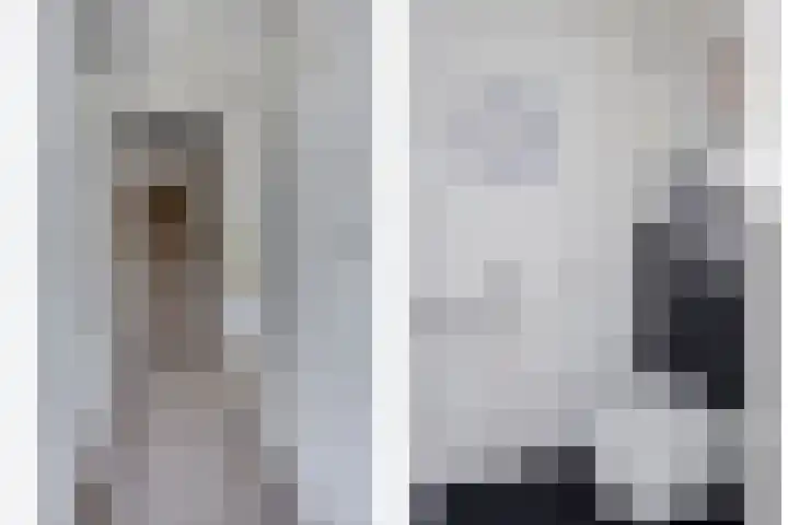 IJsvogel 130 Maarssen thumbnail 4