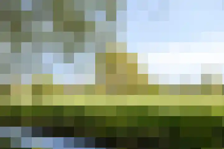IJsvogel 130 Maarssen thumbnail 40