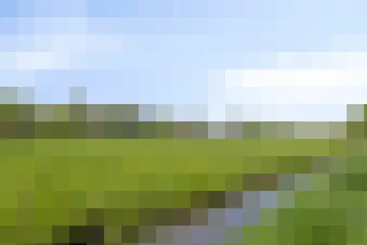 IJsvogel 130 Maarssen thumbnail 41