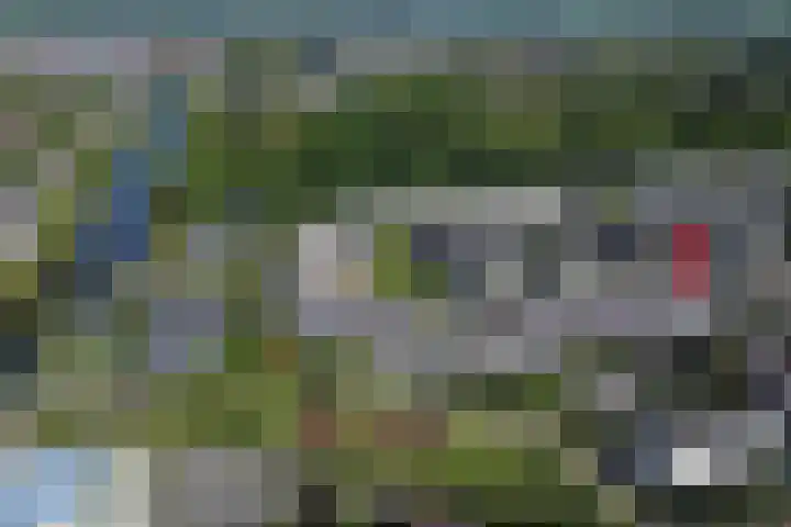 IJsvogel 130 Maarssen thumbnail 43