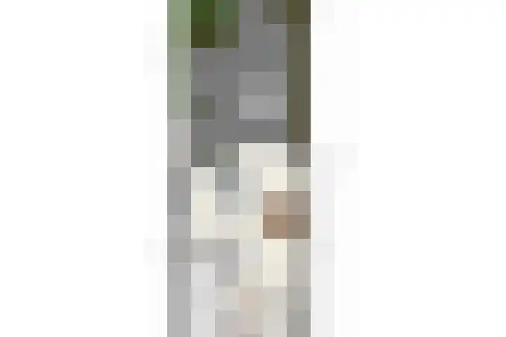 IJsvogel 130 Maarssen thumbnail 48