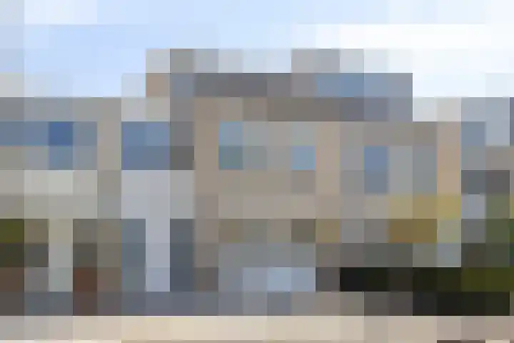 IJsvogel 130 Maarssen thumbnail 49