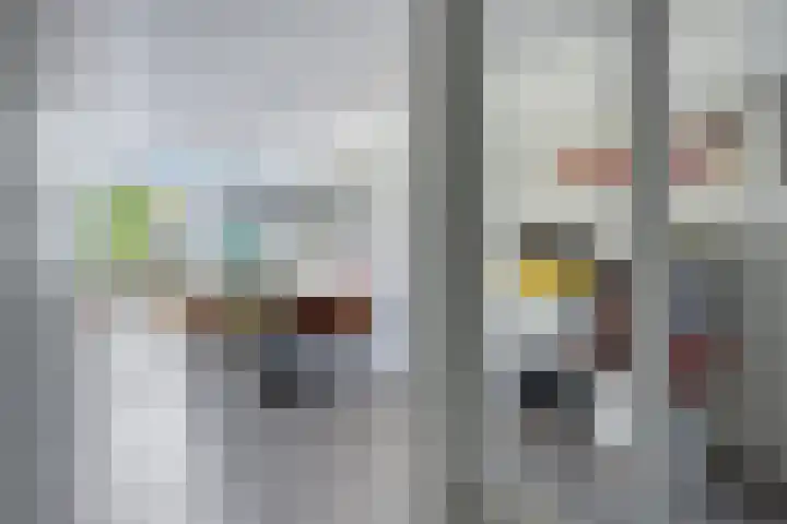 IJsvogel 130 Maarssen thumbnail 5