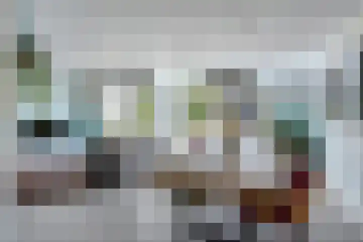 IJsvogel 130 Maarssen thumbnail 6