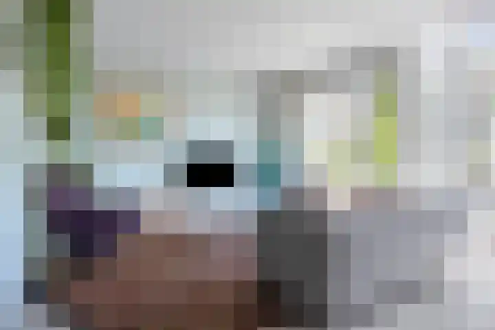 IJsvogel 130 Maarssen thumbnail 7