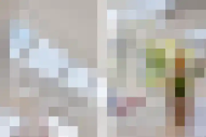 IJsvogel 130 Maarssen thumbnail 9
