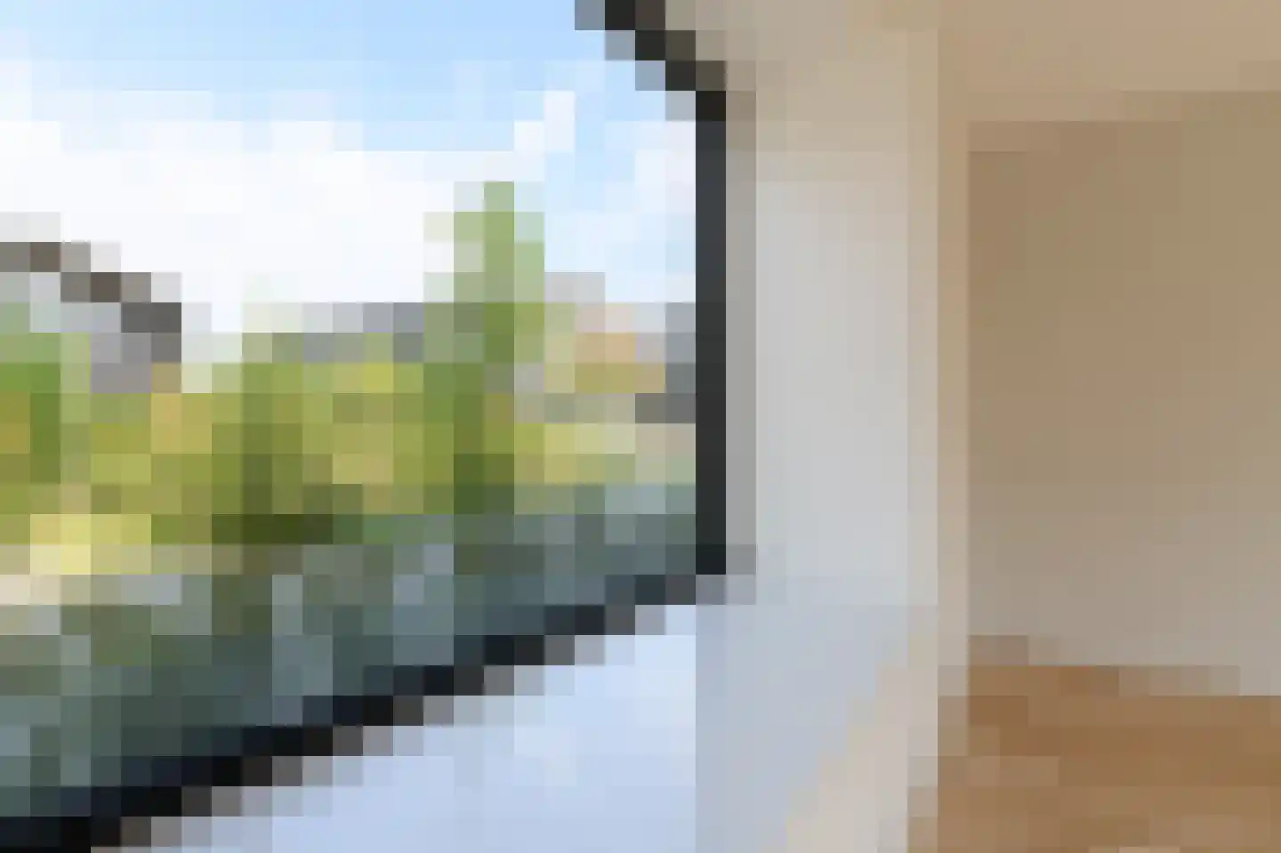 IJsvogel 15 Muiden thumbnail 11