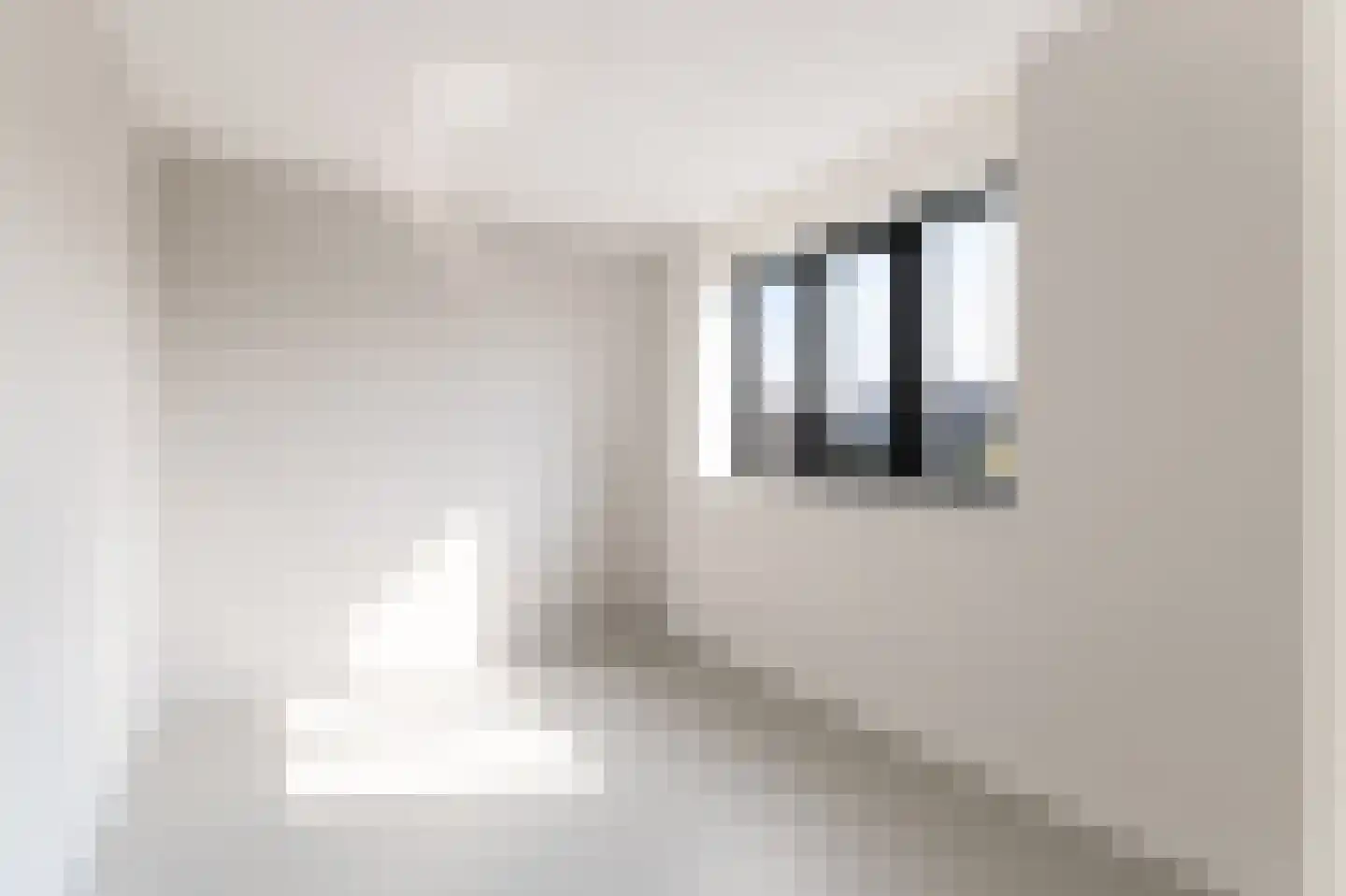 IJsvogel 15 Muiden thumbnail 24
