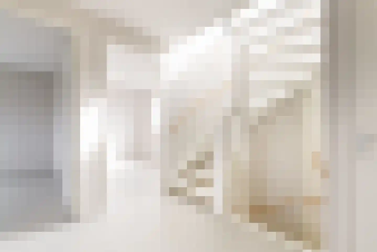 IJsvogel 15 Muiden thumbnail 26