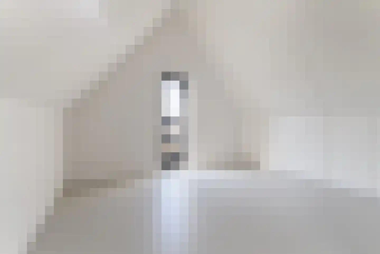 IJsvogel 15 Muiden thumbnail 30