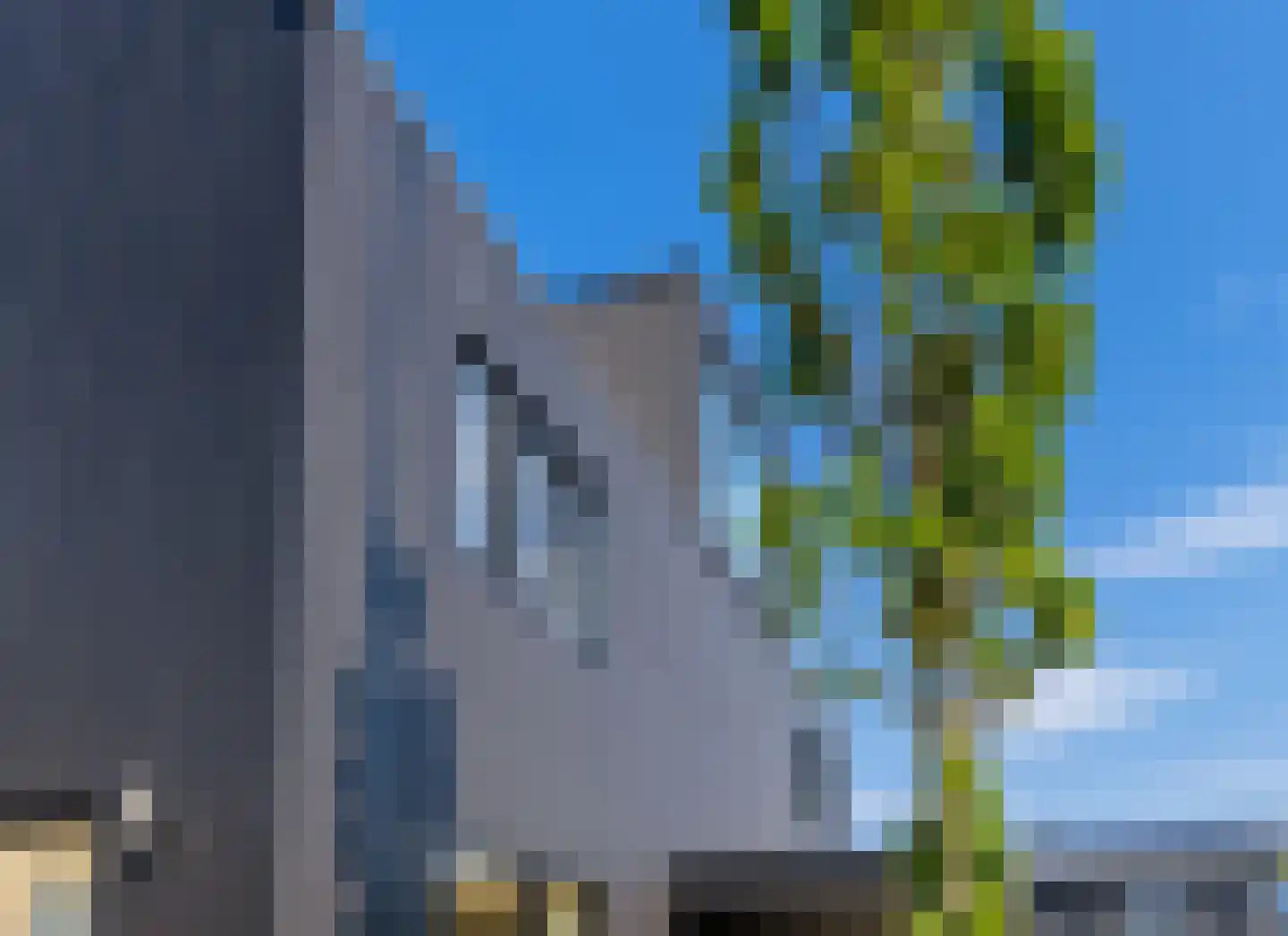 IJsvogel 15 Muiden thumbnail 33