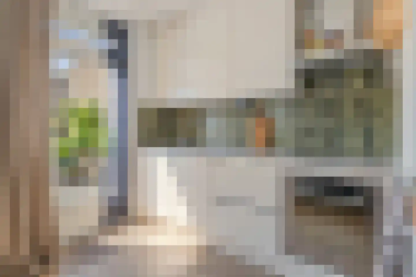 IJsvogel 18 Etten-Leur thumbnail 11