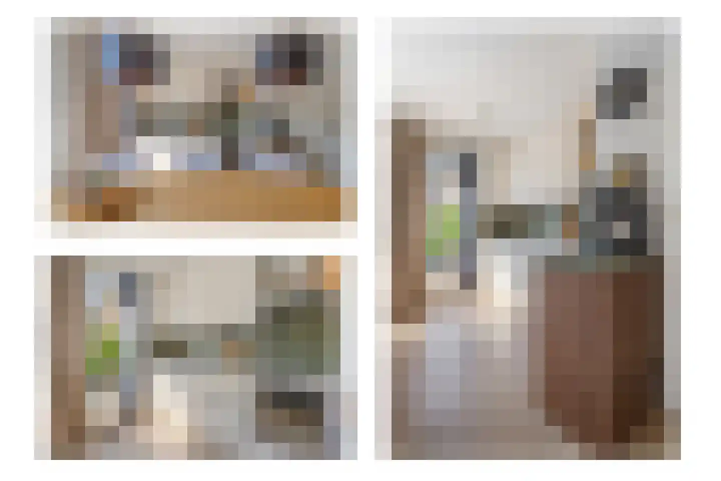 IJsvogel 18 Etten-Leur thumbnail 13