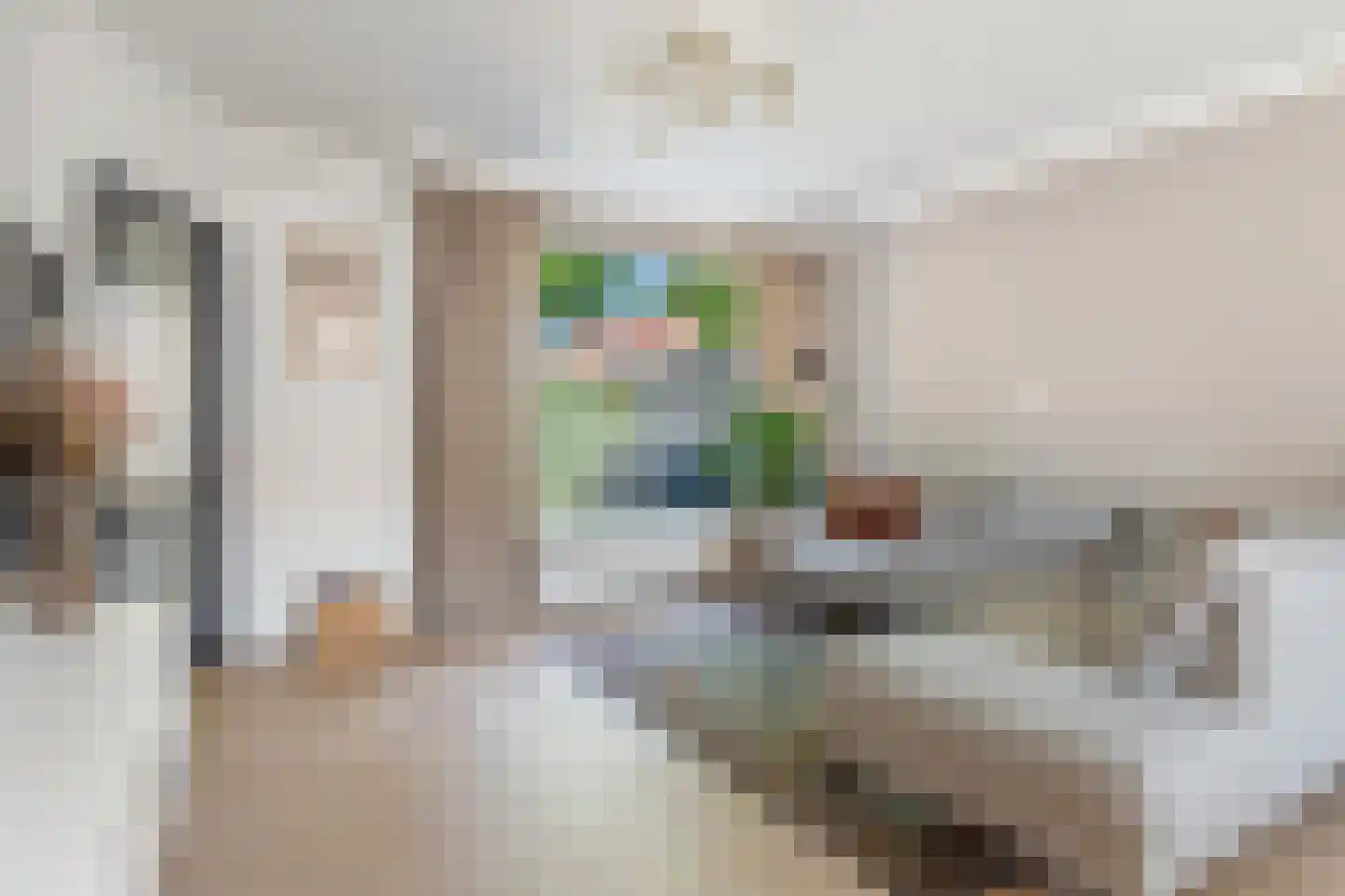 IJsvogel 18 Etten-Leur thumbnail 19