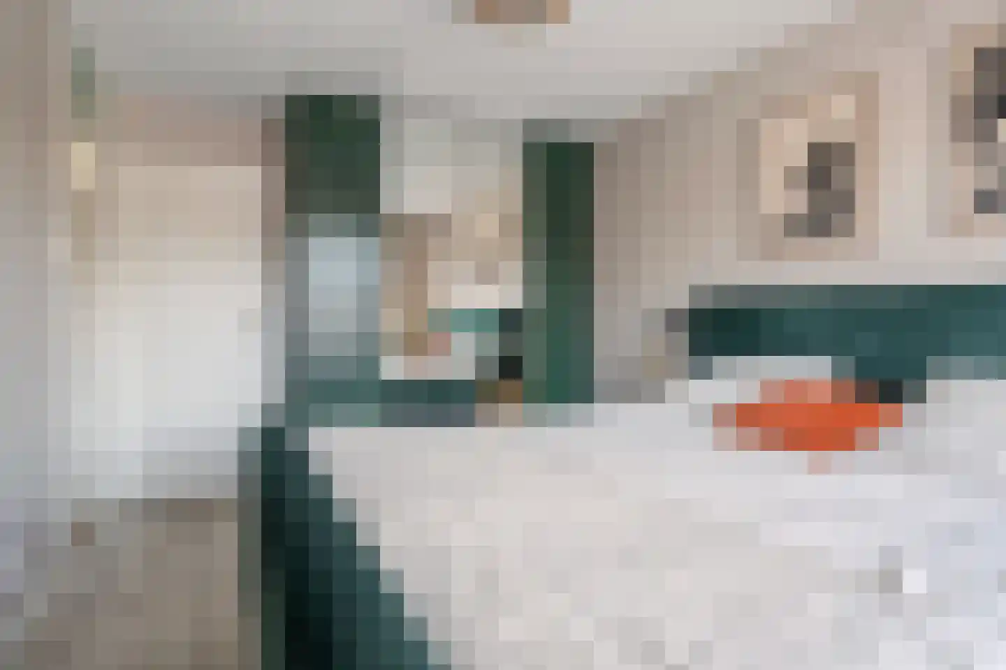 IJsvogel 18 Etten-Leur thumbnail 24