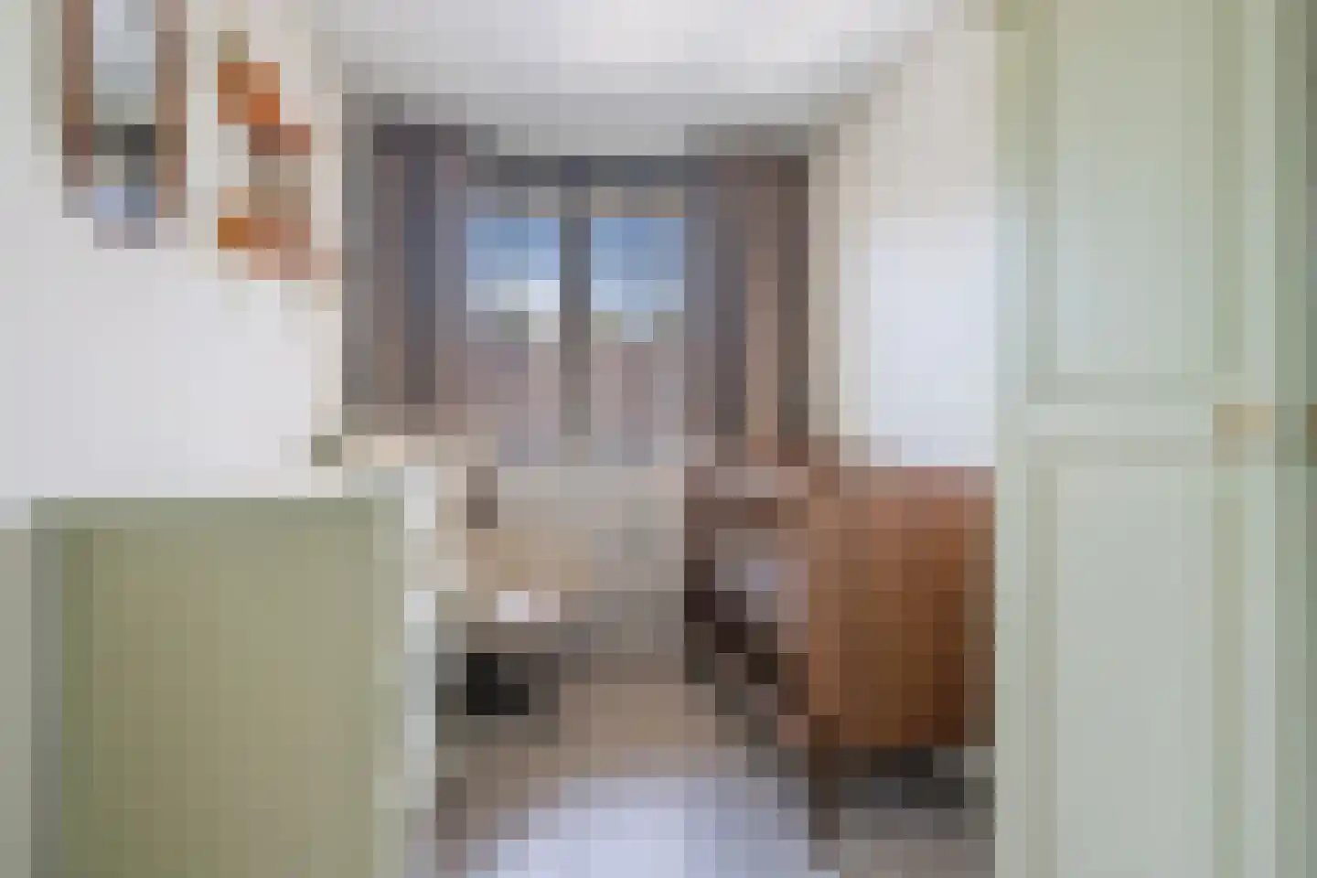 IJsvogel 18 Etten-Leur thumbnail 30