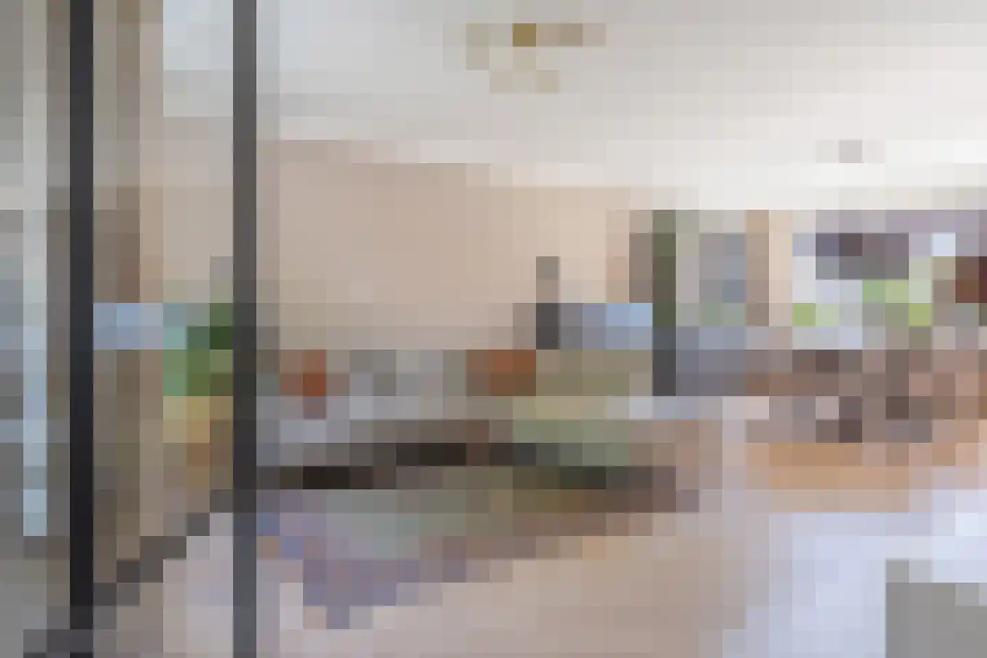 IJsvogel 18 Etten-Leur thumbnail 4
