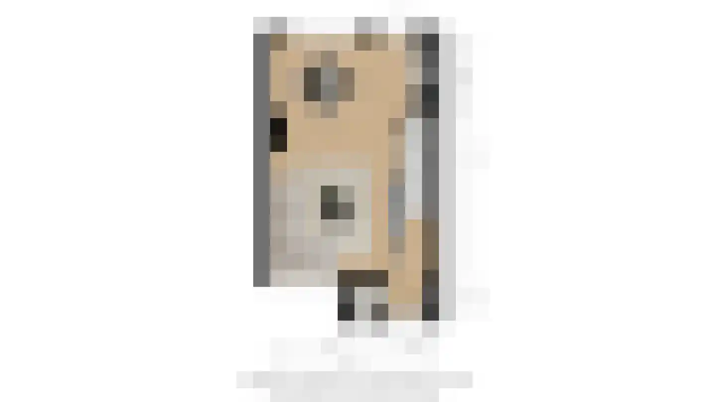 IJsvogel 18 Etten-Leur thumbnail 51