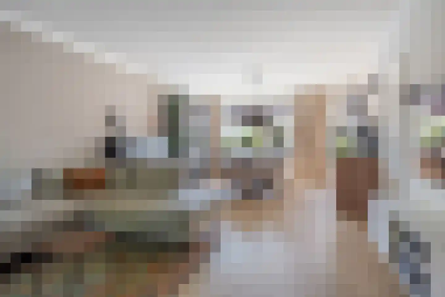 IJsvogel 18 Etten-Leur thumbnail 6