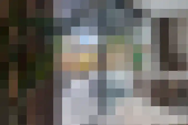 IJsvogel 19 Bergen op Zoom thumbnail 12