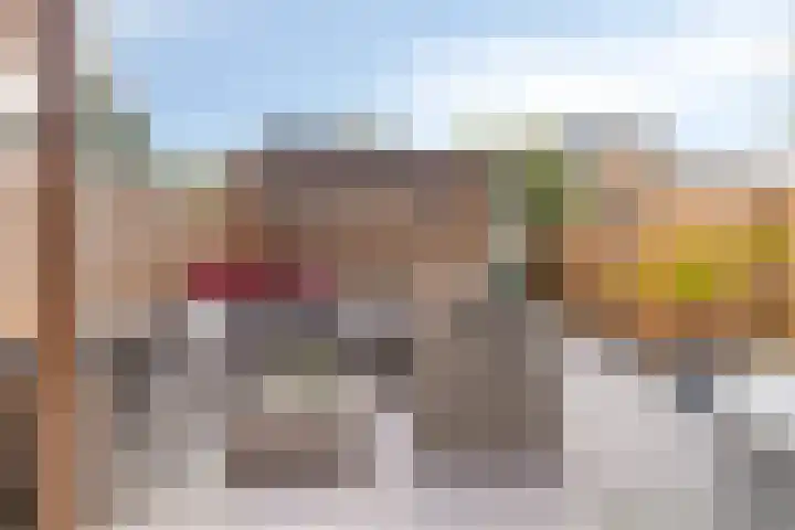 IJsvogel 19 Bergen op Zoom thumbnail 23
