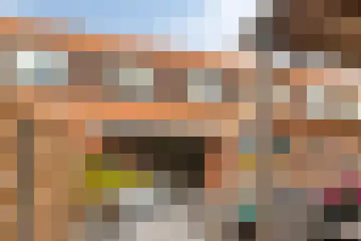 IJsvogel 19 Bergen op Zoom thumbnail 24