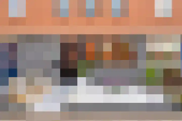 IJsvogel 19 Bergen op Zoom thumbnail 26