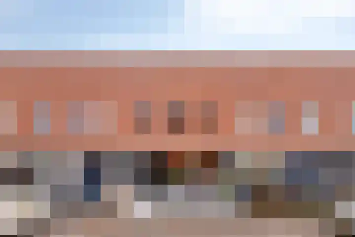 IJsvogel 19 Bergen op Zoom thumbnail 27
