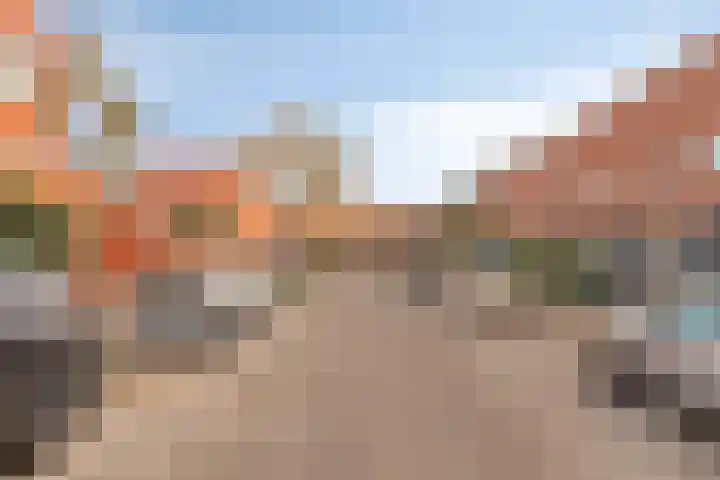 IJsvogel 19 Bergen op Zoom thumbnail 28