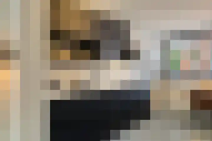 IJsvogel 19 Bergen op Zoom thumbnail 7