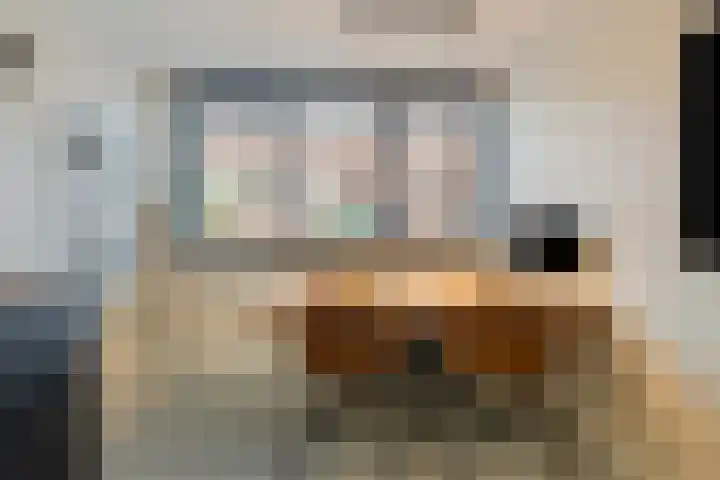 IJsvogel 19 Bergen op Zoom thumbnail 8