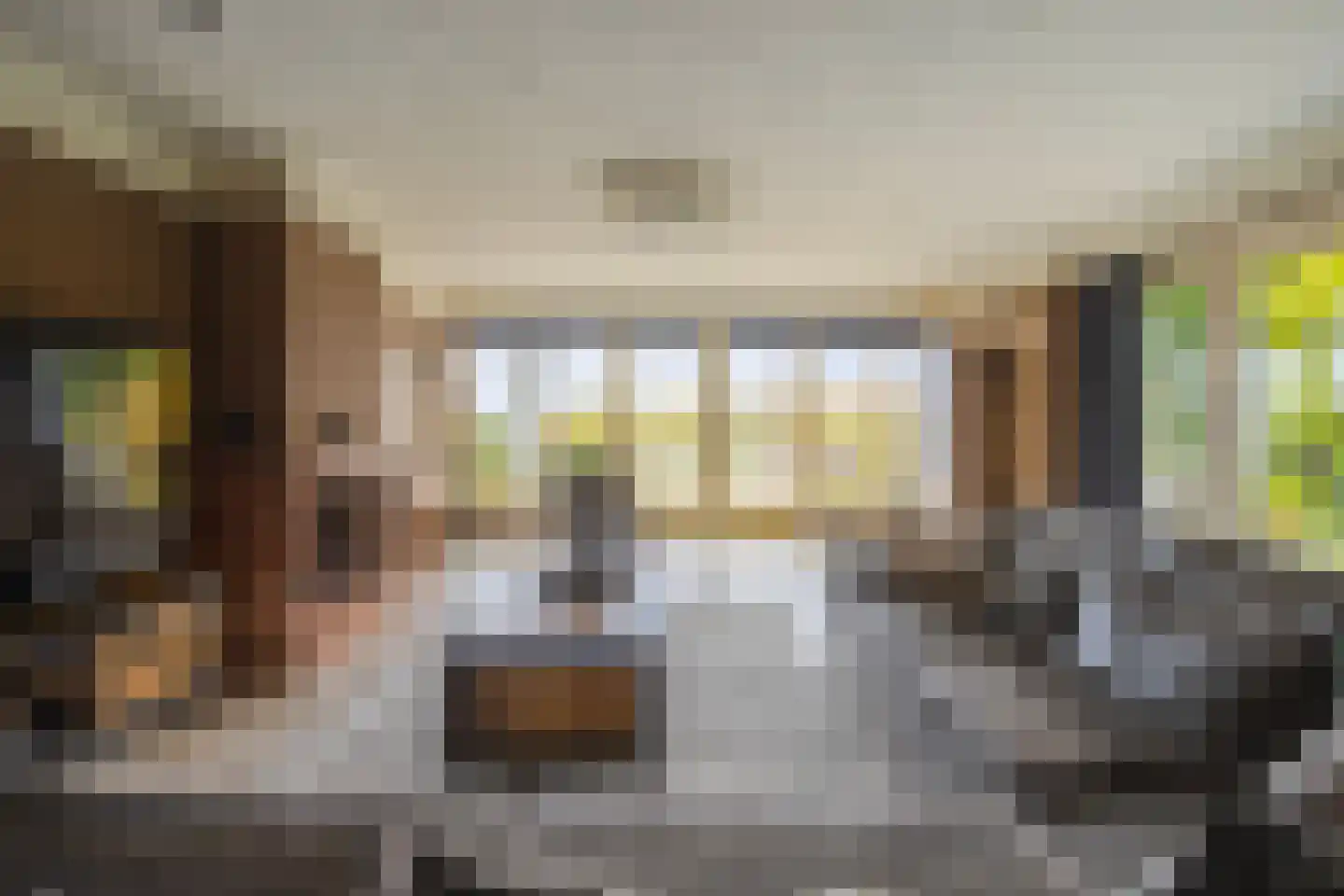 IJsvogel 19 Lathum thumbnail 10