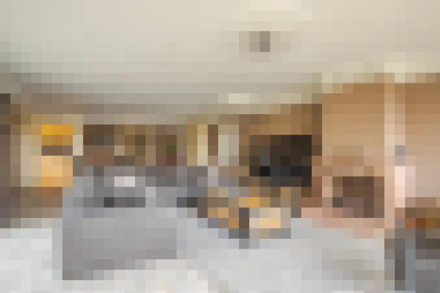 IJsvogel 19 Lathum thumbnail 11
