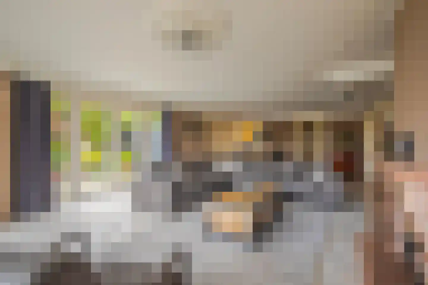 IJsvogel 19 Lathum thumbnail 12
