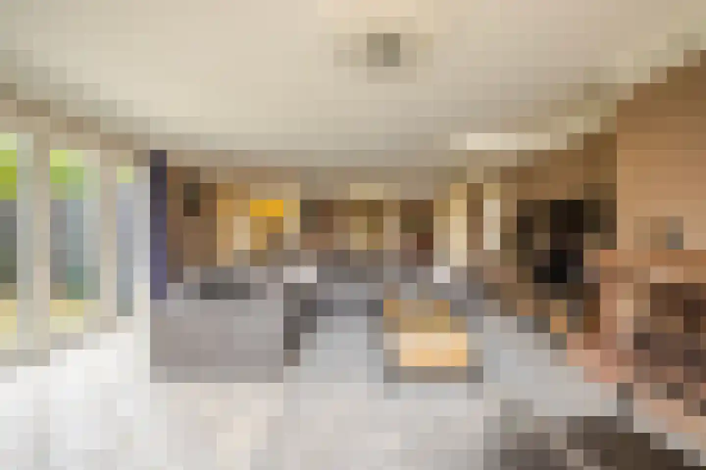 IJsvogel 19 Lathum thumbnail 13