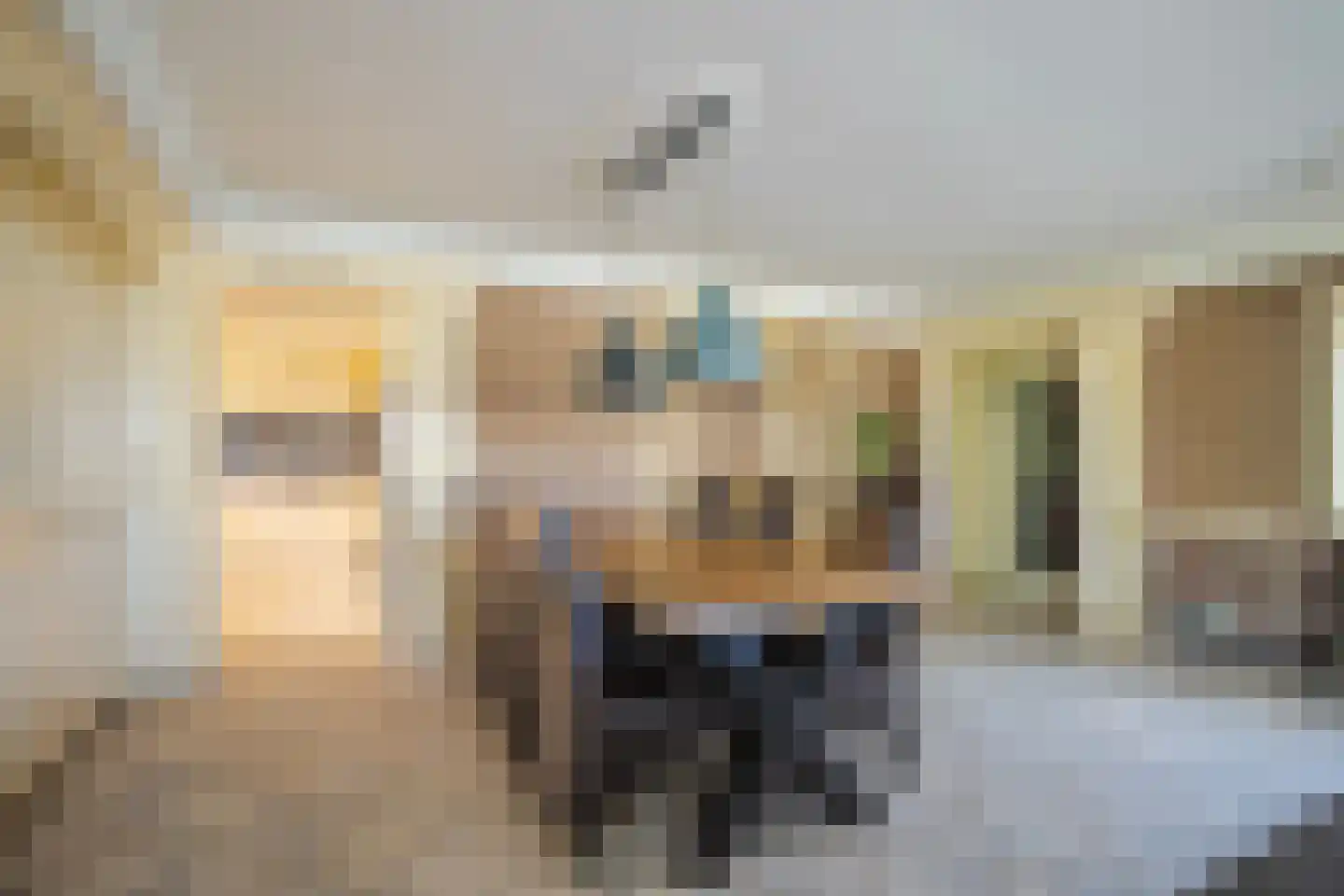 IJsvogel 19 Lathum thumbnail 14