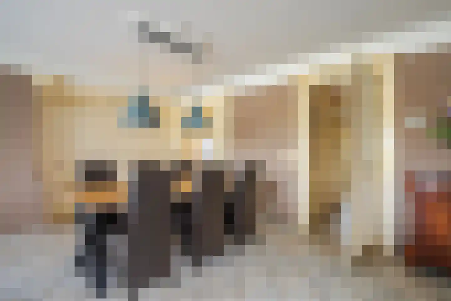 IJsvogel 19 Lathum thumbnail 15
