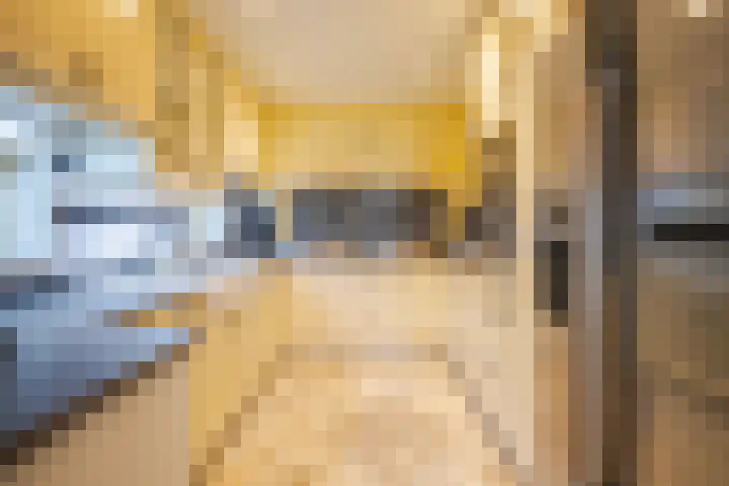 IJsvogel 19 Lathum thumbnail 17