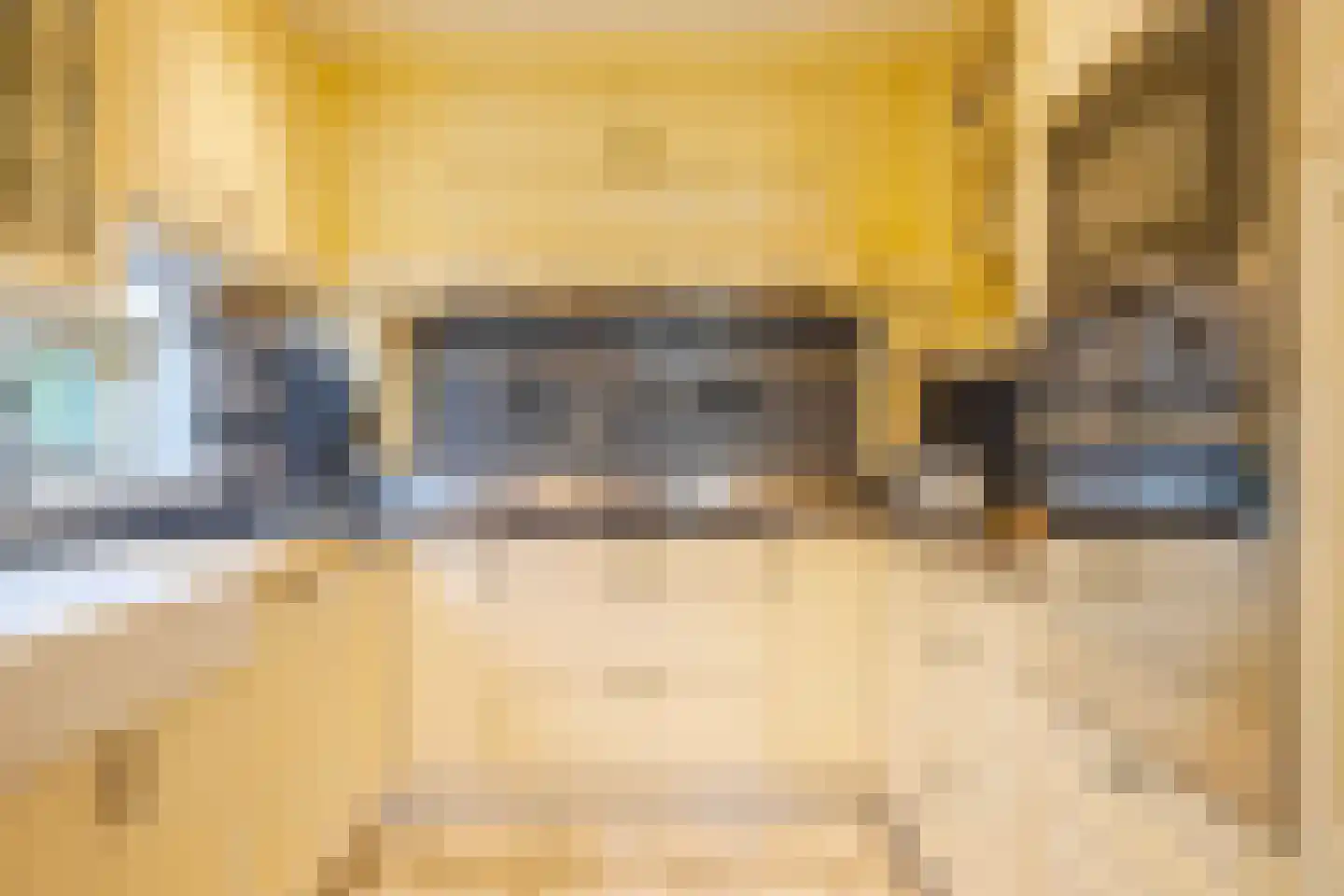 IJsvogel 19 Lathum thumbnail 18