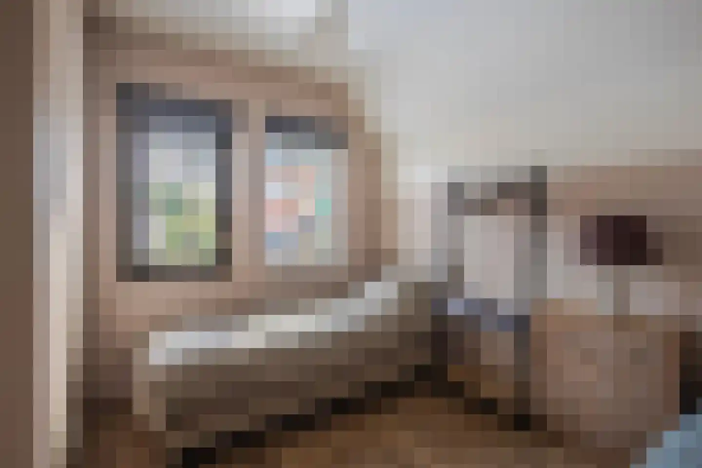 IJsvogel 19 Lathum thumbnail 19